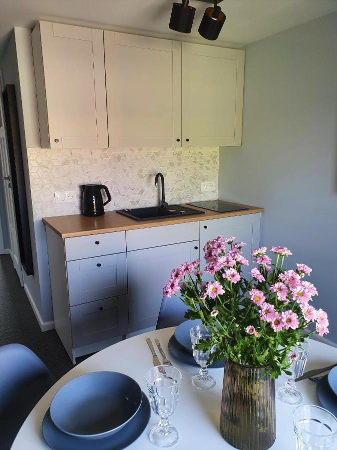 Apartamenty K17 Centrum Malbork Eksteriør bilde